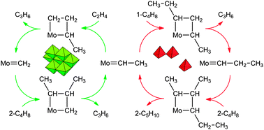 Graphical abstract: The effect of supported MoOX structures on the reaction pathways of propene formation in the metathesis of ethylene and 2-butene