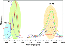 Graphical abstract: Unusual redox stability of neptunium in the ionic liquid [Hbet][Tf2N]