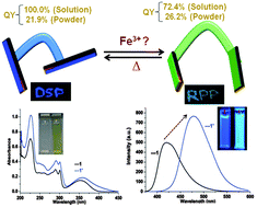 Graphical abstract: Structural and mechanistic insights into an Fe3+-triggered quinazoline based molecular rotor