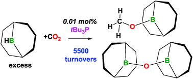 Graphical abstract: Phosphine catalyzed reduction of CO2 with boranes