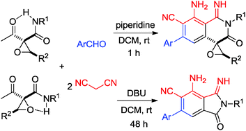 Graphical abstract: Synthesis of spiro[isoquinolinone-4,2′-oxiranes] and isoindolinones via a multicomponent reaction of 2-acetyl-oxirane-2-carboxamides, arylaldehydes and malononitrile