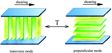 Graphical abstract: Control of sample alignment mode for hybrid lamellar systems based on gold nanoparticles