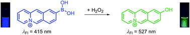 Graphical abstract: Selective ratiometric detection of H2O2 in water and in living cells with boronobenzo[b]quinolizinium derivatives