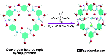 Graphical abstract: Convergent heteroditopic cyclo[6]aramides as macrocyclic ion-pair receptors for constructing [2]pseudorotaxanes