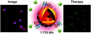 Graphical abstract: Targeted and image-guided photodynamic cancer therapy based on organic nanoparticles with aggregation-induced emission characteristics