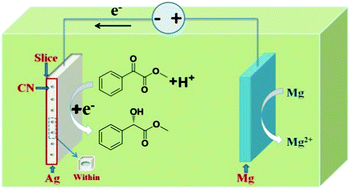Graphical abstract: Entrapment of alkaloids within silver: from enantioselective hydrogenation to chiral recognition