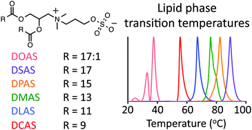 Graphical abstract: Sulfated quaternary amine lipids: a new class of inverse charge zwitterlipids