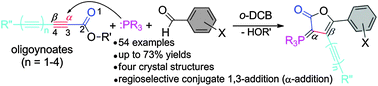 Graphical abstract: Nucleophilic conjugate 1,3-addition of phosphines to oligoynoates