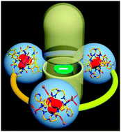 Graphical abstract: Recent developments in anion induced capsular self-assemblies