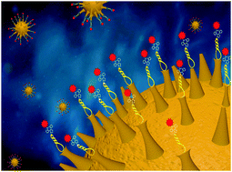 Graphical abstract: A strain-promoted alkyne–azide cycloaddition (SPAAC) reaction of a novel EpCAM aptamer–fluorescent conjugate for imaging of cancer cells