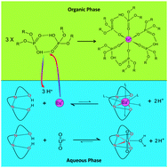 Graphical abstract: Challenging conventional f-element separation chemistry – reversing uranyl(vi)/lanthanide(iii) solvent extraction selectivity