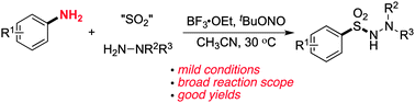 Graphical abstract: Aminosulfonylation of aromatic amines, sulfur dioxide and hydrazines