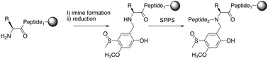 Graphical abstract: Automated synthesis of backbone protected peptides