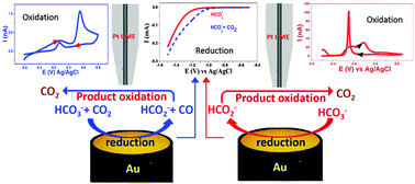Graphical abstract: Selective reduction of CO2 to formate through bicarbonate reduction on metal electrodes: new insights gained from SG/TC mode of SECM