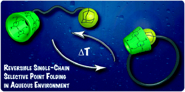 Graphical abstract: Reversible single-chain selective point folding via cyclodextrin driven host–guest chemistry in water