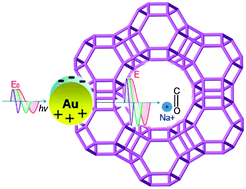 Graphical abstract: Surface plasmon-enhanced zeolite catalysis under light irradiation and its correlation with molecular polarity of reactants