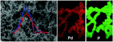 Graphical abstract: Facile synthesis of 3D Pd–P nanoparticle networks with enhanced electrocatalytic performance towards formic acid electrooxidation