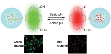 Graphical abstract: A novel nanogel-based fluorescent probe for ratiometric detection of intracellular pH values