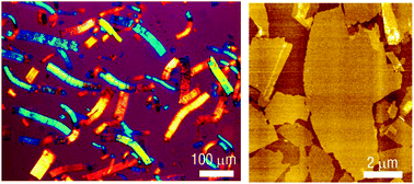 Graphical abstract: Tetrabutylphosphonium ions as a new swelling/delamination agent for layered compounds