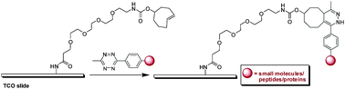 Graphical abstract: Microarray immobilization of biomolecules using a fast trans-cyclooctene (TCO)–tetrazine reaction