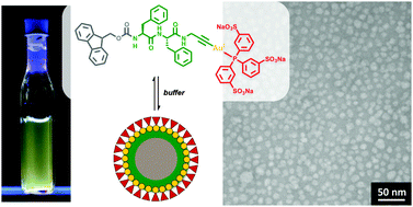 Graphical abstract: Facile synthesis of a peptidic Au(i)-metalloamphiphile and its self-assembly into luminescent micelles in water