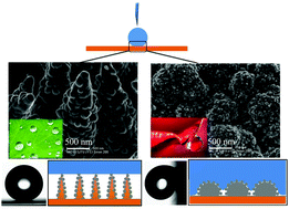 Graphical abstract: Lotus leaf-like dual-scale silver film applied as a superhydrophobic and self-cleaning substrate