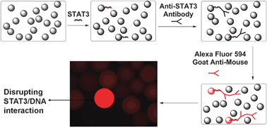 Graphical abstract: Identification of novel inhibitors that disrupt STAT3–DNA interaction from a γ-AApeptide OBOC combinatorial library