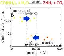 Graphical abstract: A bistable switch in pH in urease-loaded alginate beads