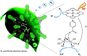 Graphical abstract: Incorporation of iron hydrogenase active sites into a highly stable metal–organic framework for photocatalytic hydrogen generation