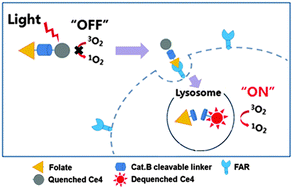 Graphical abstract: Smart dual-functional warhead for folate receptor-specific activatable imaging and photodynamic therapy