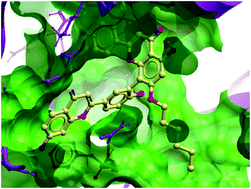 Graphical abstract: Virtual screening and optimization of Type II inhibitors of JAK2 from a natural product library