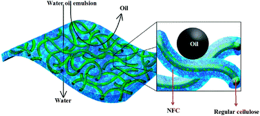 Graphical abstract: A cellulose based hydrophilic, oleophobic hydrated filter for water/oil separation