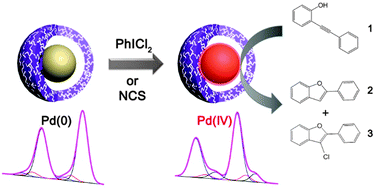 Graphical abstract: A highly Lewis-acidic Pd(iv) surface on Pd@SiO2 nanocatalysts for hydroalkoxylation reactions