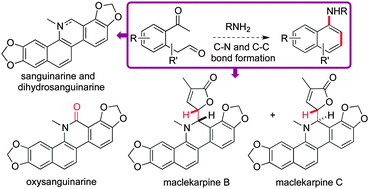 Graphical abstract: New methods for the synthesis of naphthyl amines; application to the synthesis of dihydrosanguinarine, sanguinarine, oxysanguinarine and (±)-maclekarpines B and C