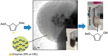 Graphical abstract: Enzyme immobilised novel core–shell superparamagnetic nanocomposites for enantioselective formation of 4-(R)-hydroxycyclopent-2-en-1-(S)-acetate