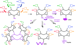 Graphical abstract: A multi-ligation strategy for the synthesis of heterofunctionalized glycosylated scaffolds