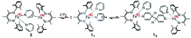 Graphical abstract: Geometric and redox flexibility of pyridine as a redox-active ligand that can reversibly accept one or two electrons