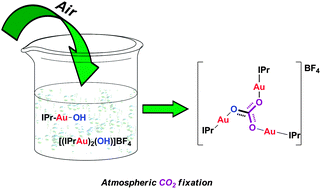 Graphical abstract: Trapping atmospheric CO2 with gold