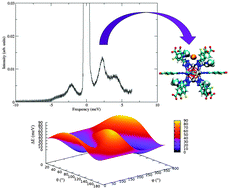 Graphical abstract: A high rotational barrier for physisorbed hydrogen in an fcu-metal–organic framework