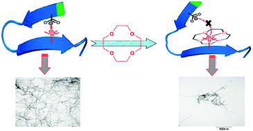 Graphical abstract: Crown ethers attenuate aggregation of amyloid beta of Alzheimer's disease