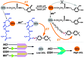 Graphical abstract: Retracted Article: Upconversion luminescent logic gates and turn-on sensing of glutathione based on two-photon excited quantum dots conjugated with dopamine