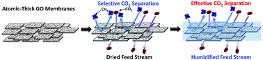 Graphical abstract: High-performance CO2-philic graphene oxide membranes under wet-conditions