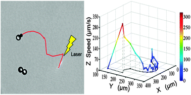 Graphical abstract: Near infrared-modulated propulsion of catalytic Janus polymer multilayer capsule motors