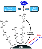 Graphical abstract: Carbon quantum dot–NO photoreleaser nanohybrids for two-photon phototherapy of hypoxic tumors