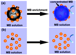 Graphical abstract: The significant impact of polydopamine on the catalytic performance of the carried Au nanoparticles