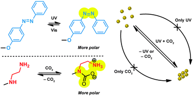 Graphical abstract: Dual-responsive nanoparticles that aggregate under the simultaneous action of light and CO2