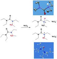 Graphical abstract: A crystallographically characterized salt of self-generated N-protonated tetraethylurea