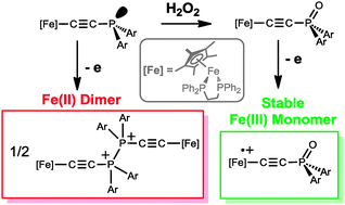 Graphical abstract: Easy and quantitative access to Fe(ii) and Fe(iii) di(aryl)alkynylphosphine oxides featuring [Fe(dppe)Cp*] endgroups: terminal P [[double bond, length as m-dash]] O functionality blocks the dimerisation of the Fe(iii) derivatives