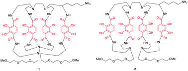 Graphical abstract: Di-macrocyclic terephthalamide ligands as chelators for the PET radionuclide zirconium-89