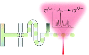 Graphical abstract: On-chip monitoring of chemical syntheses in microdroplets via surface-enhanced Raman spectroscopy